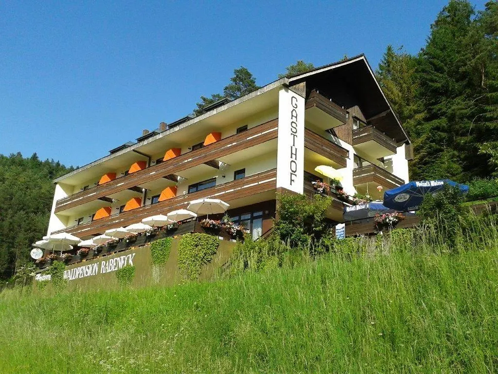 Waldpension Rabeneck 바이셴펠트 호텔