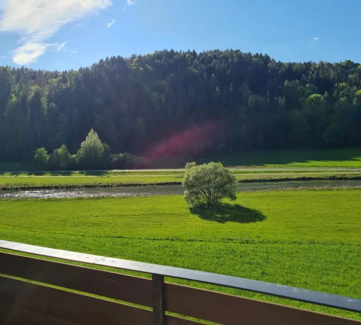 호텔 Waldpension Rabeneck 바이셴펠트 독일
